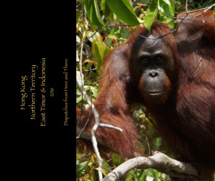 Hong Kong Northern Territory East Timor & Indonesia 2016 book cover