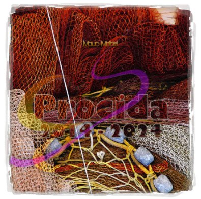 Procida 2014 - 2024 book cover