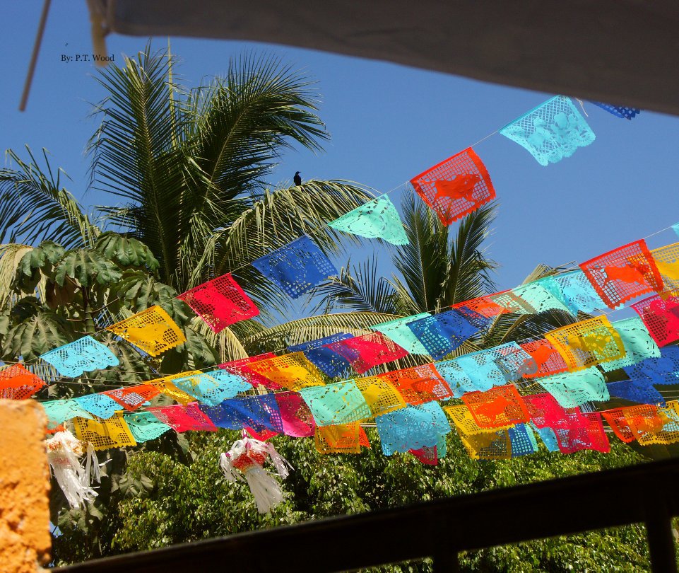 Ver Sayulita y Yalapa 07 por ptwood