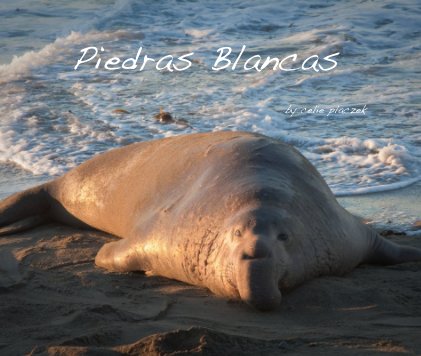 Piedras Blancas book cover